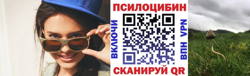 купить  цена  mega рабочий сайт  Галлюциногенные грибы Psilocybe  Белореченск 